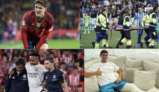 极具观赏性 极具观赏性